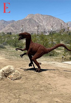 Borrego-Springs