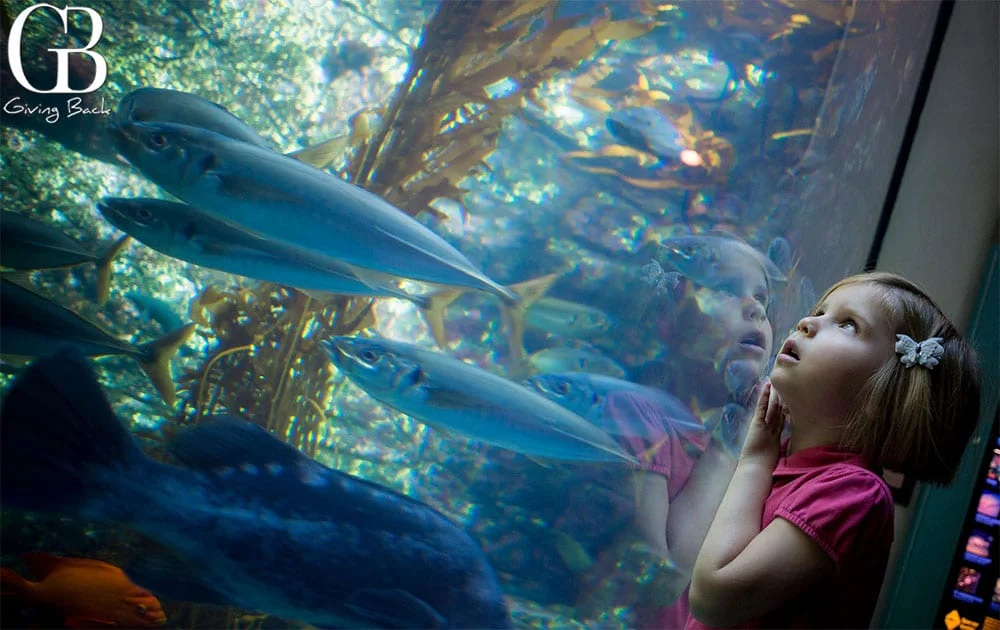 Birch Aquarium