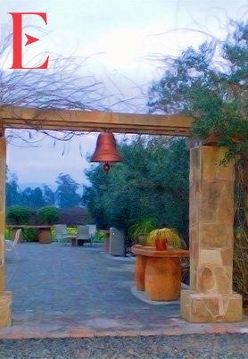 CEJA VINEYARDS