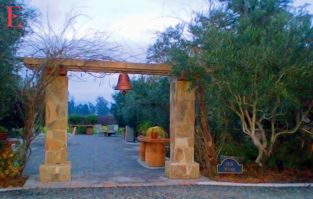 CEJA VINEYARDS