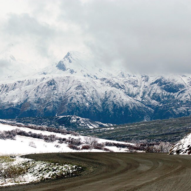 Denali National Park