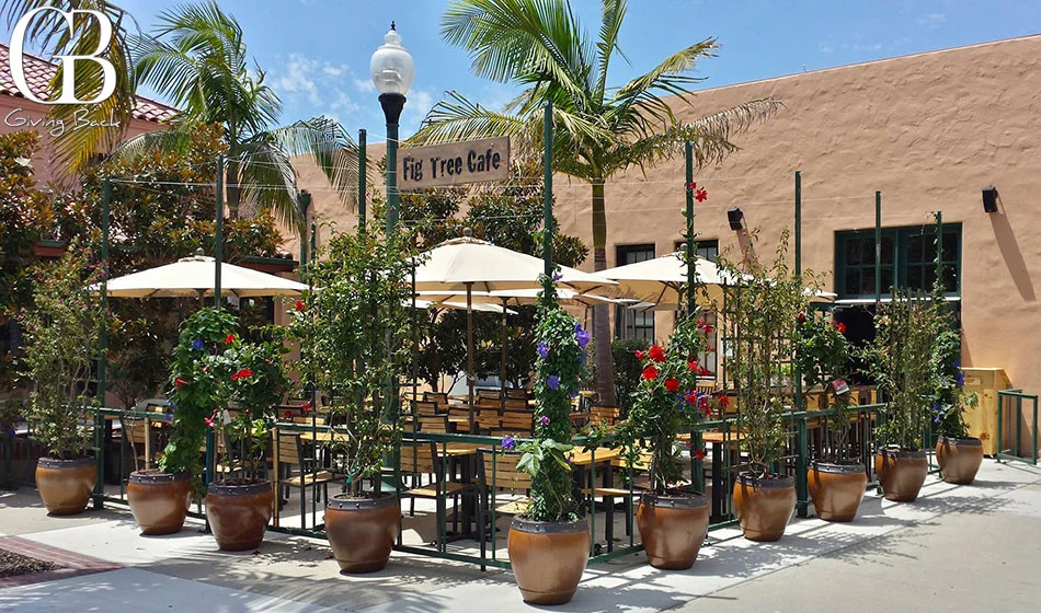 Fig Tree Café: