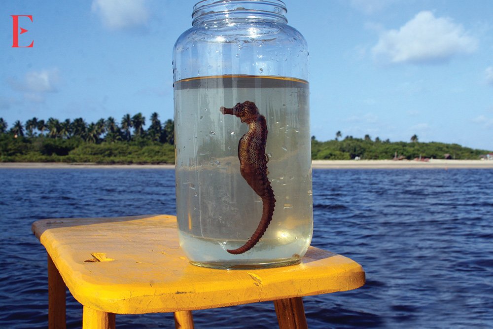Porto De Galinhas