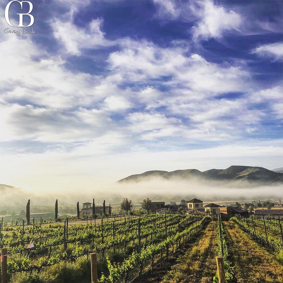 Robert Renzoni Winery
