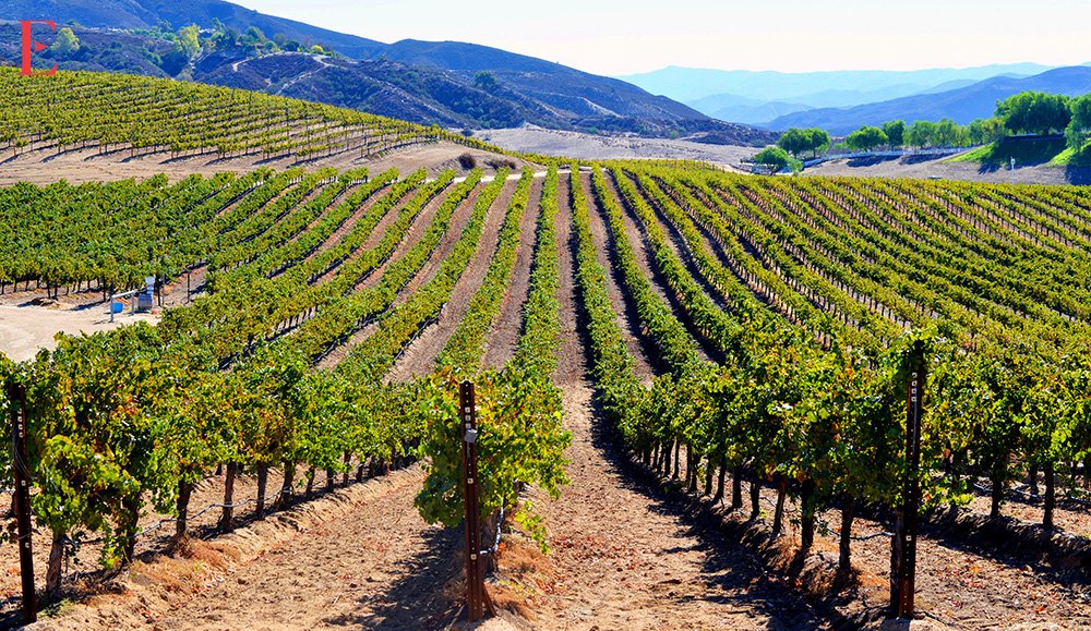 Temecula Valley