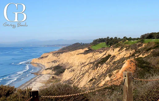 Torrey-Pines
