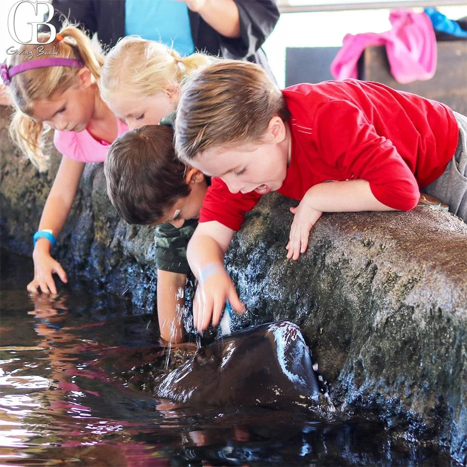 Living-Coast-Discovery-Center