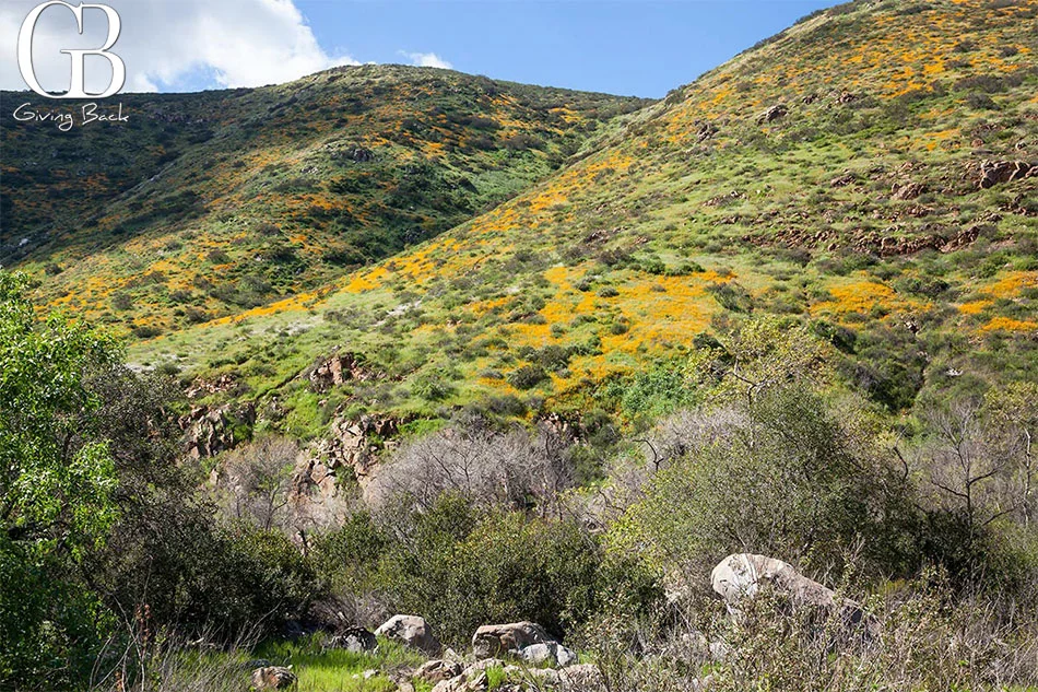 Mission-Trails-Regional-Park