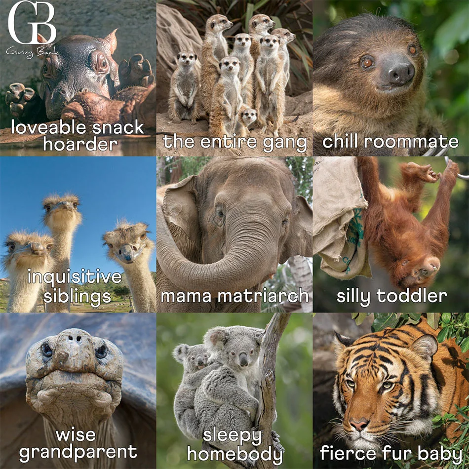 San-Diego-Zoo