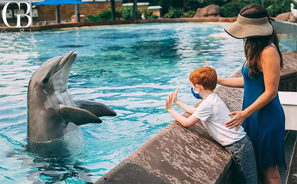 SeaWorld